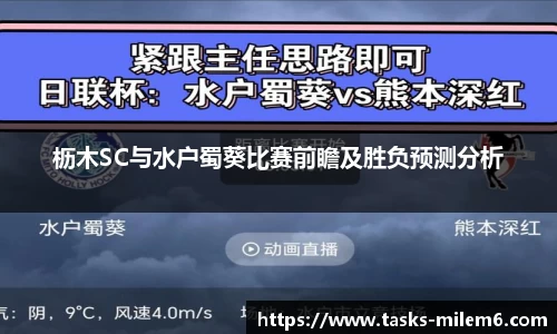 枥木SC与水户蜀葵比赛前瞻及胜负预测分析